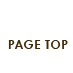 PAGE TOP